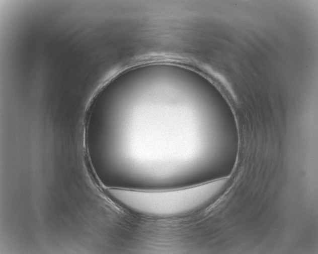 X0000076041365200609220908