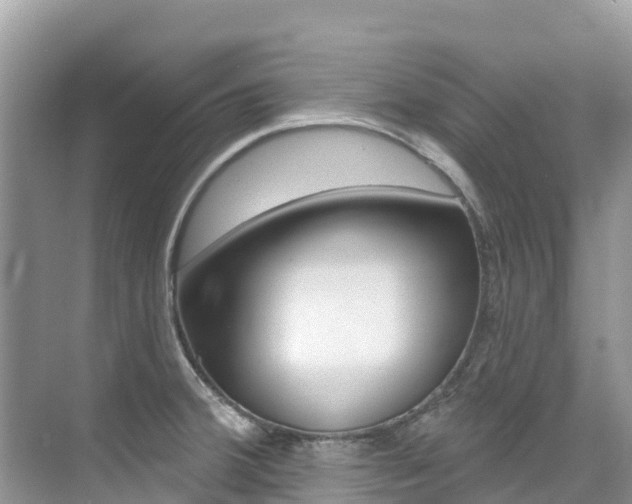 X0000076041380200609220907