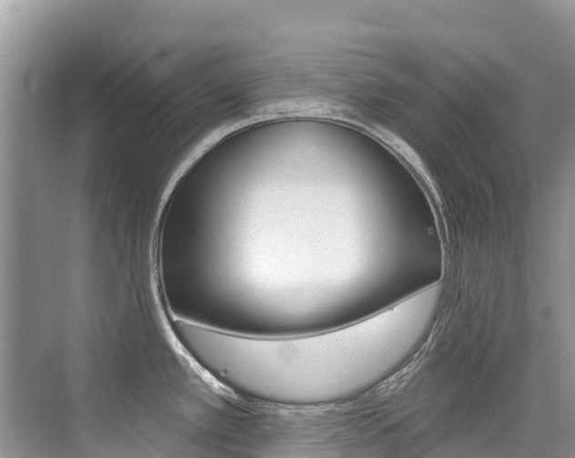 X0000076041389200609220907