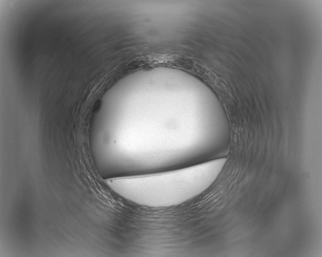 X0000076041393200609220906