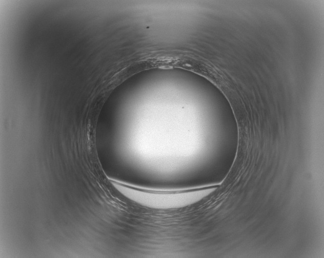 X0000076041394200609220906