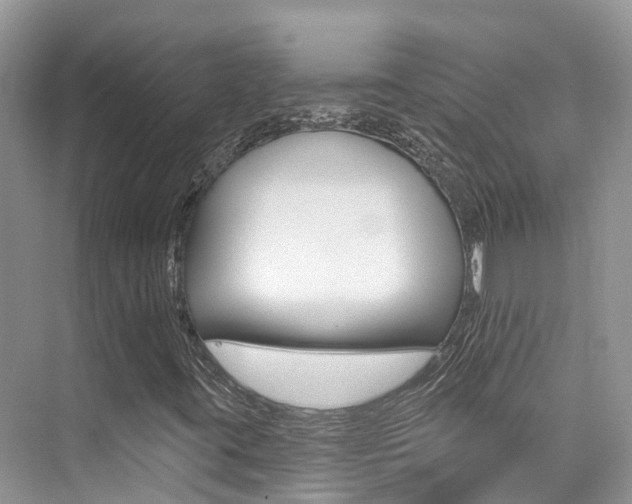 X0000076041395200609220906