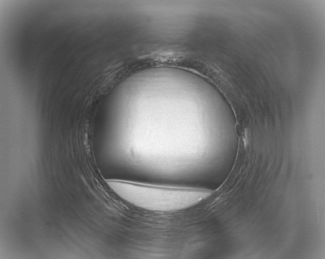 X0000076041396200609220906