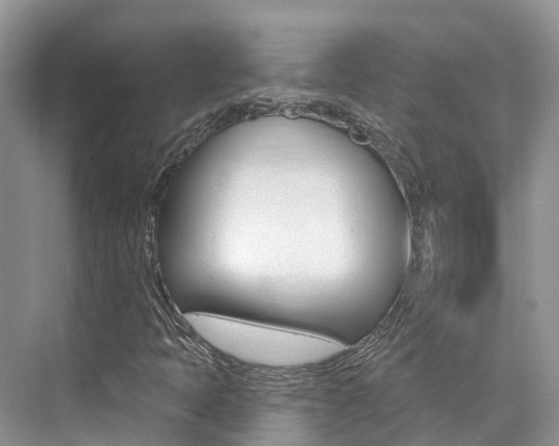 X0000076041397200609220906