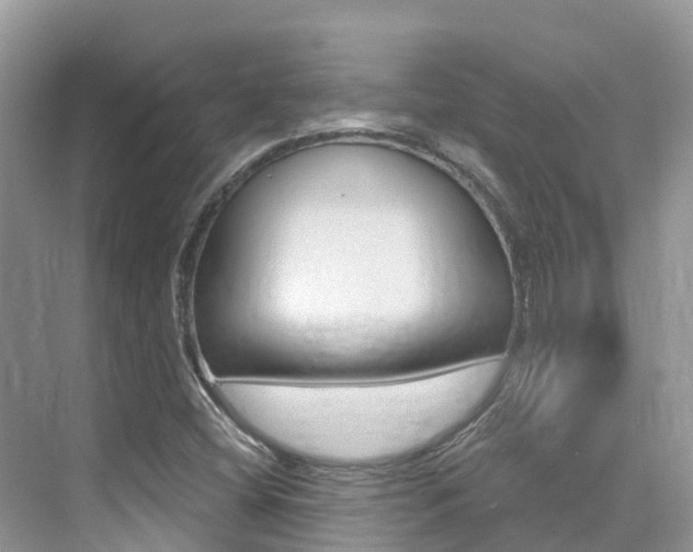 X0000076041404200609220906