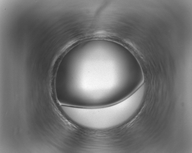 X0000076041410200609220907