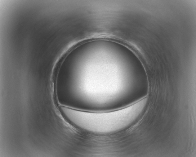 X0000076041414200609220907
