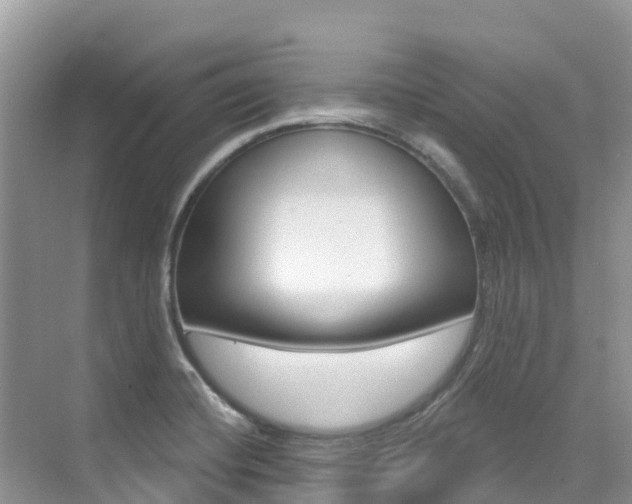 X0000076041420200609220907