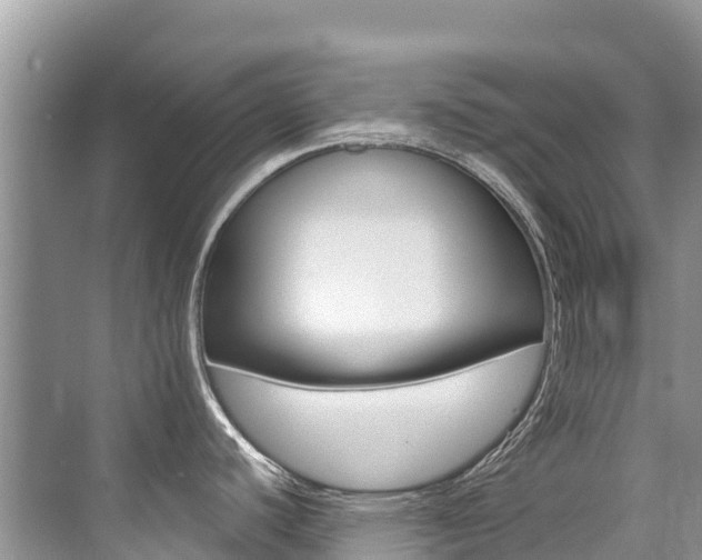 X0000076041440200609220907
