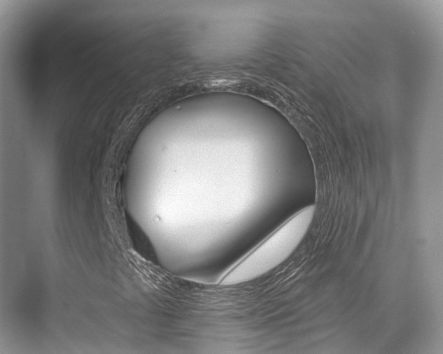 X0000076041441200609220906