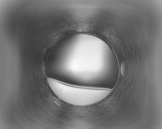 X0000076041444200609220906