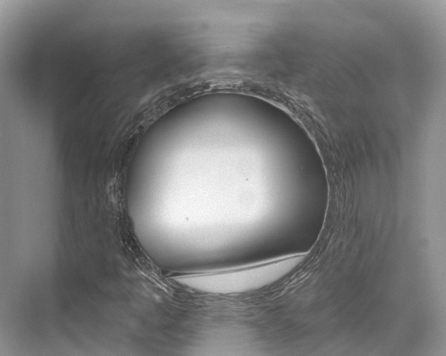X0000076041445200609220906