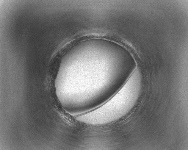 X0000076041448200609220906