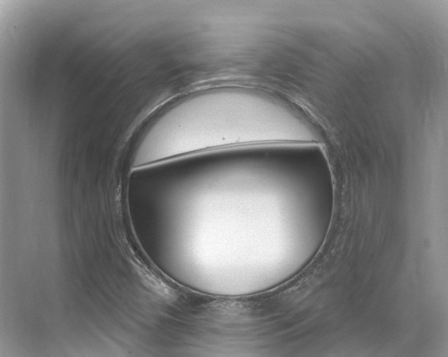X0000076041450200609220906