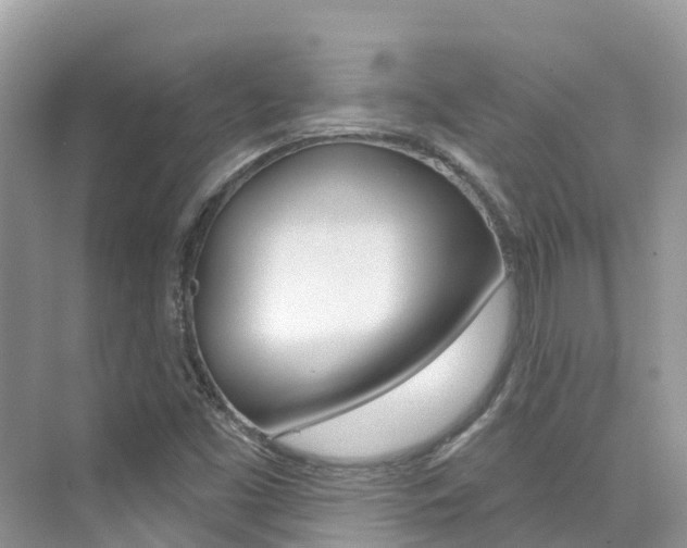 X0000076041453200609220906