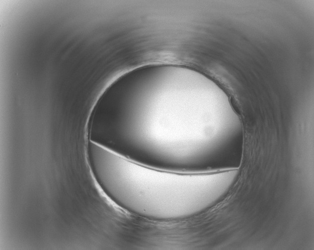 X0000076041479200609220906