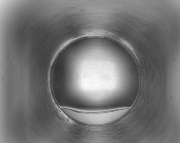 X0000076041480200609220906
