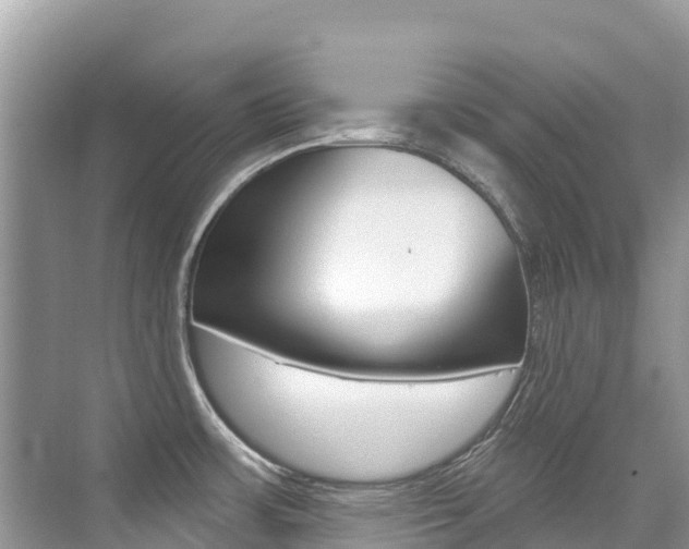 X0000076041483200609220906