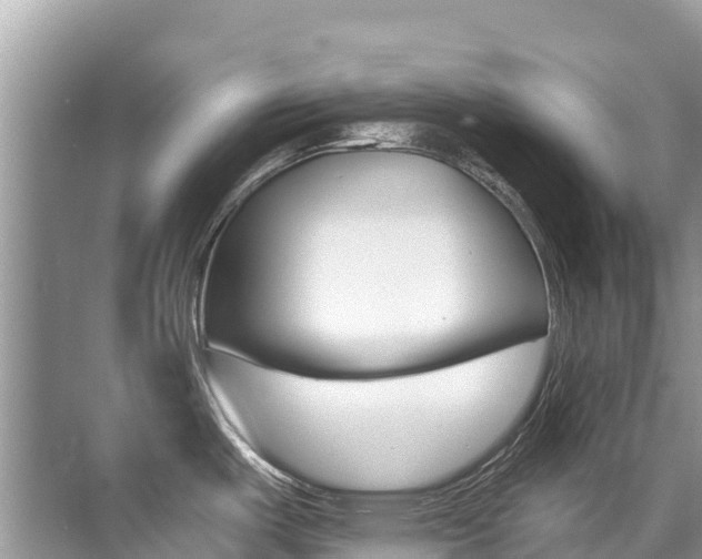 X0000076041487200609220905