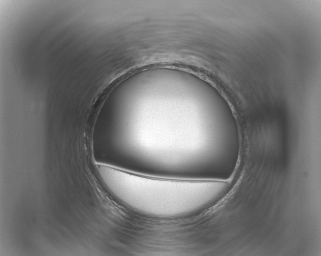 X0000076041497200609220905