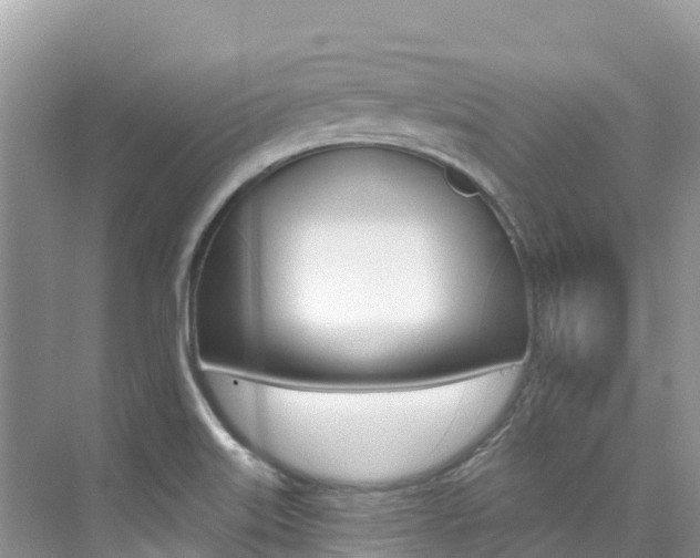 X0000076041515200609220905