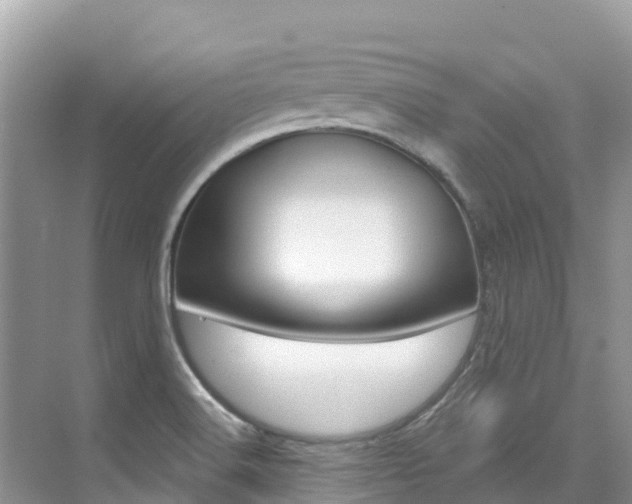 X0000076041516200609220905