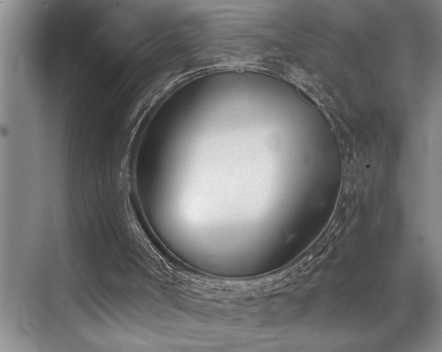 X0000076040002200609221132