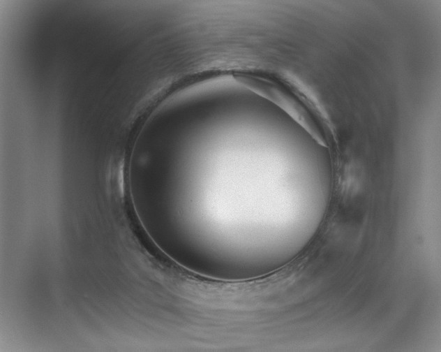 X0000076040019200609221131