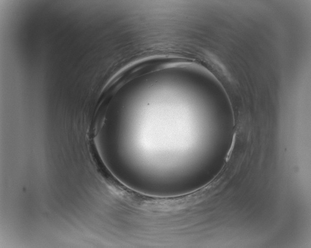 X0000076040025200609221131