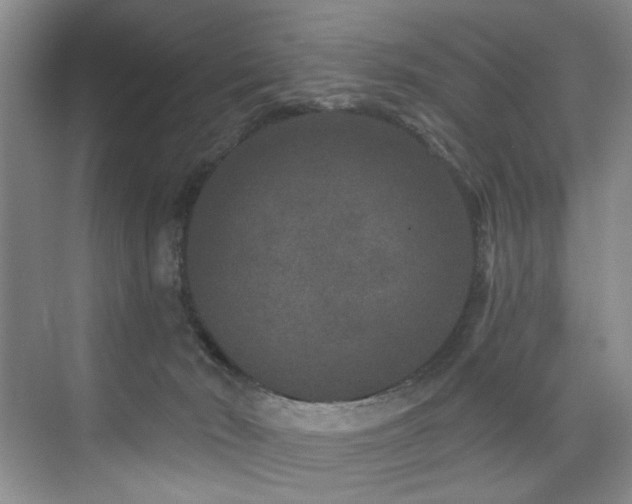 X0000076040030200609221131