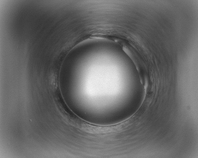X0000076040031200609221131