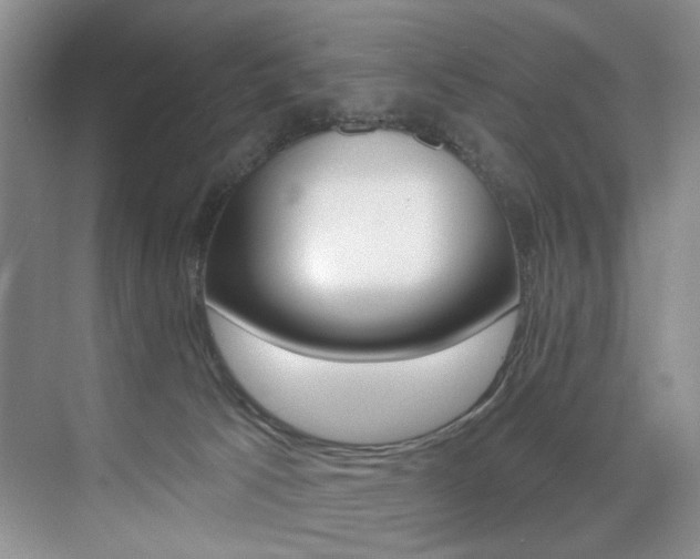 X0000076040033200609221131