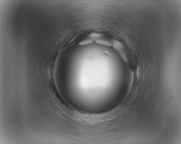X0000076040039200609221131