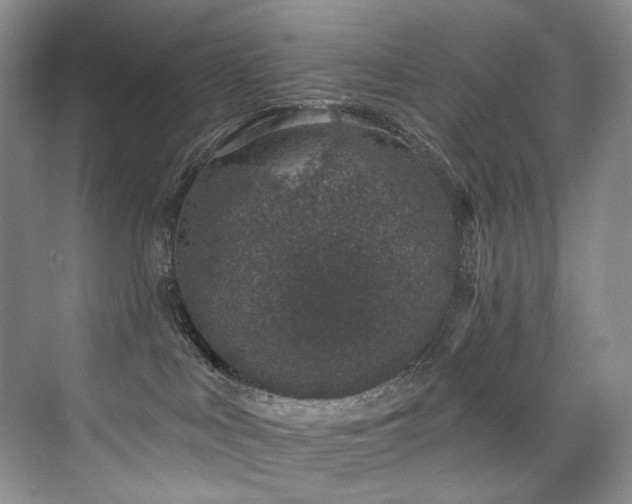 X0000076040043200609221131