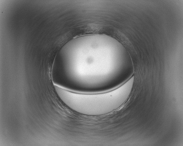 X0000076040045200609221131