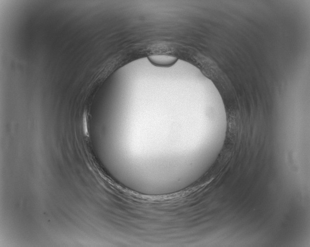 X0000076040046200609221131