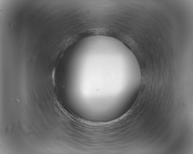 X0000076040047200609221131