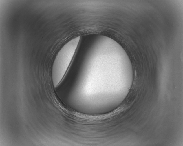 X0000076040048200609221131