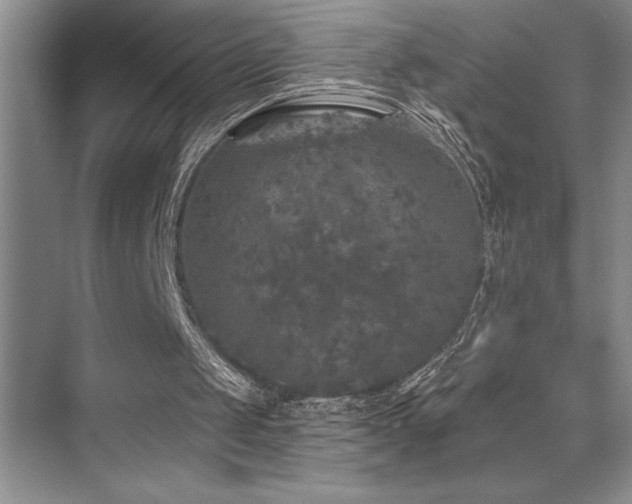 X0000076040049200609221130