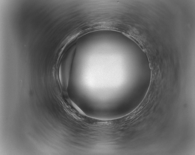 X0000076040050200609221130