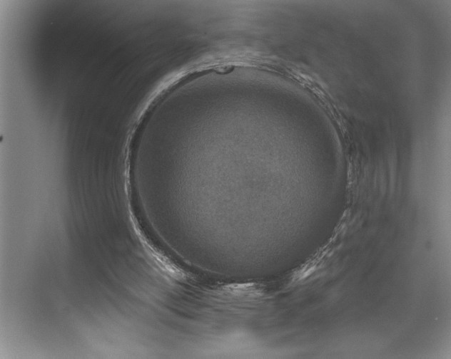 X0000076040054200609221130