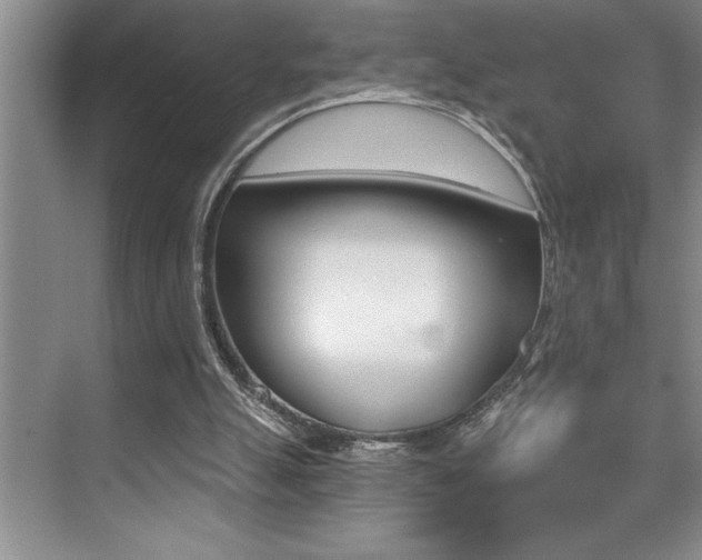 X0000076040055200609221130