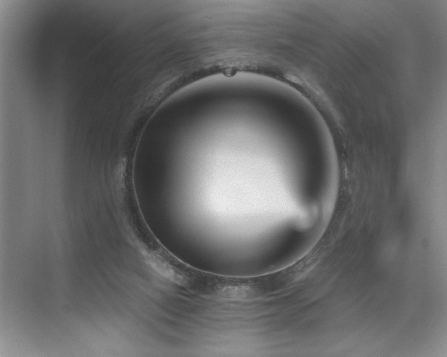 X0000076040066200609221130