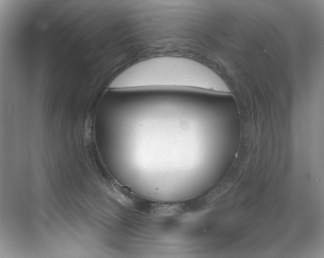 X0000076040081200609221131