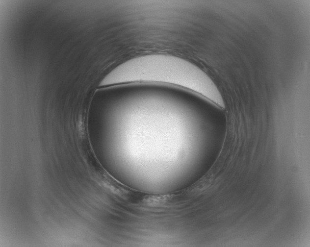 X0000076040084200609221131