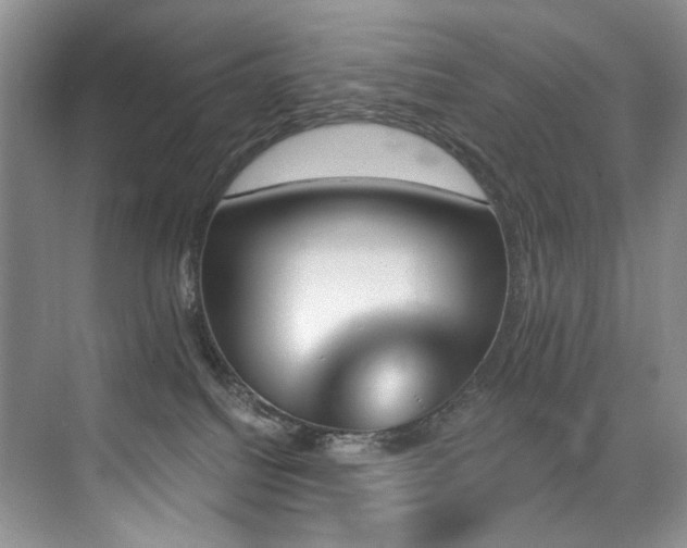 X0000076040088200609221131