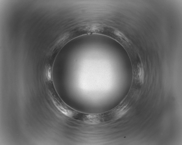 X0000076040095200609221131