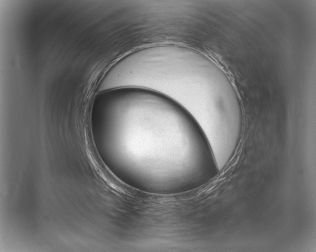 X0000076040097200609221130