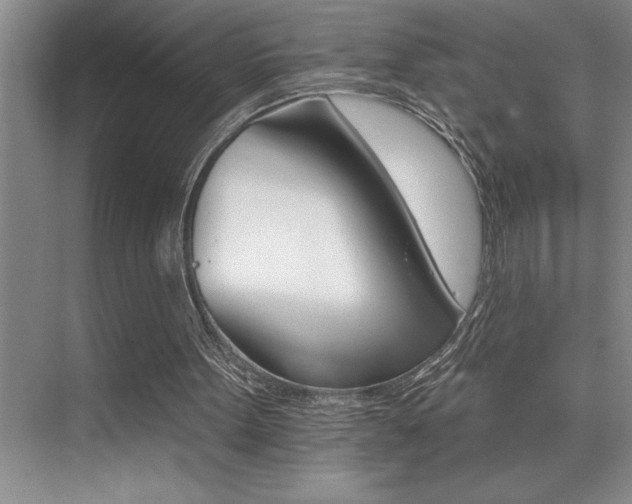 X0000076040099200609221130