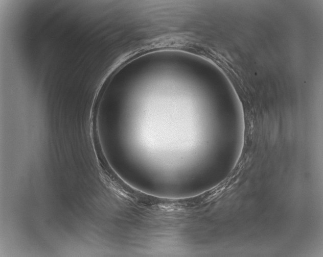 X0000076040100200609221130